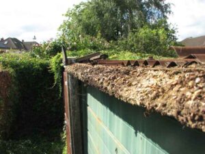 Crumbling lintel